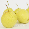 新しい作物の新鮮なジュース梨
